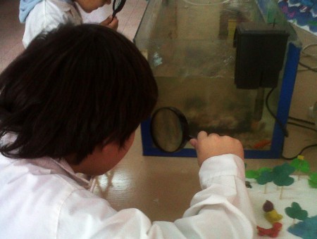 La pecera tambien es un lugar para explorar. Medio acuatico