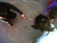 /album/fotogaleria-cientificos-de-segundo-en-accion/img01318-20120502-1427-jpg/