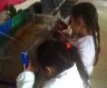 /album/fotogaleria-cientificos-de-segundo-en-accion/img01340-20120504-1036-jpg/