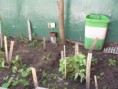 /album/proyecto-huerta/a100-0916-jpg/