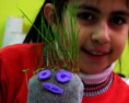 /album/fotogaleria%3a-germinacion-de-semillas-de-mijo-y-alp%c3%acste-en-un-mu%c3%b1equito/img-6526-jpg/