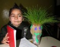 /album/fotogaleria%3a-germinacion-de-semillas-de-mijo-y-alp%c3%acste-en-un-mu%c3%b1equito/img-6495-jpg/