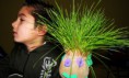 /album/fotogaleria%3a-germinacion-de-semillas-de-mijo-y-alp%c3%acste-en-un-mu%c3%b1equito/img-6496-jpg/