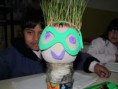 /album/fotogaleria%3a-germinacion-de-semillas-de-mijo-y-alp%c3%acste-en-un-mu%c3%b1equito/img-6499-jpg/