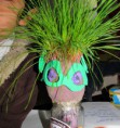 /album/fotogaleria%3a-germinacion-de-semillas-de-mijo-y-alp%c3%acste-en-un-mu%c3%b1equito/img-6500-jpg/