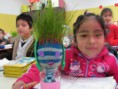 /album/fotogaleria%3a-germinacion-de-semillas-de-mijo-y-alp%c3%acste-en-un-mu%c3%b1equito/img-6507-jpg/