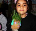 /album/fotogaleria%3a-germinacion-de-semillas-de-mijo-y-alp%c3%acste-en-un-mu%c3%b1equito/img-6509-jpg/