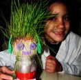 /album/fotogaleria%3a-germinacion-de-semillas-de-mijo-y-alp%c3%acste-en-un-mu%c3%b1equito/img-6514-jpg/