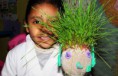 /album/fotogaleria%3a-germinacion-de-semillas-de-mijo-y-alp%c3%acste-en-un-mu%c3%b1equito/img-6517-jpg/