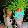 /album/fotogaleria%3a-germinacion-de-semillas-de-mijo-y-alp%c3%acste-en-un-mu%c3%b1equito/img-6501-jpg/