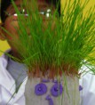 /album/fotogaleria%3a-germinacion-de-semillas-de-mijo-y-alp%c3%acste-en-un-mu%c3%b1equito/img-6537-jpg/