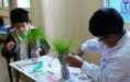 /album/fotogaleria%3a-germinacion-de-semillas-de-mijo-y-alp%c3%acste-en-un-mu%c3%b1equito/img-6550-jpg/