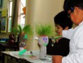 /album/fotogaleria%3a-germinacion-de-semillas-de-mijo-y-alp%c3%acste-en-un-mu%c3%b1equito/img-6551-jpg/