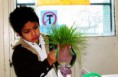 /album/fotogaleria%3a-germinacion-de-semillas-de-mijo-y-alp%c3%acste-en-un-mu%c3%b1equito/img-6553-jpg/