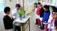 /album/fotogaleria%3a-germinacion-de-semillas-de-mijo-y-alp%c3%acste-en-un-mu%c3%b1equito/img-6556-jpg/