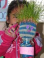 /album/fotogaleria%3a-germinacion-de-semillas-de-mijo-y-alp%c3%acste-en-un-mu%c3%b1equito/img-6589-jpg/