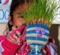 /album/fotogaleria%3a-germinacion-de-semillas-de-mijo-y-alp%c3%acste-en-un-mu%c3%b1equito/img-6589s-jpg/
