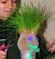 /album/fotogaleria%3a-germinacion-de-semillas-de-mijo-y-alp%c3%acste-en-un-mu%c3%b1equito/img-6591-jpg/