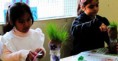 /album/fotogaleria%3a-germinacion-de-semillas-de-mijo-y-alp%c3%acste-en-un-mu%c3%b1equito/img-6609-jpg/