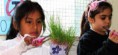 /album/fotogaleria%3a-germinacion-de-semillas-de-mijo-y-alp%c3%acste-en-un-mu%c3%b1equito/img-6610-jpg/