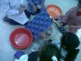 /album/primer-grado-articula-con-el-jardin-pampita/img00461-20120802-1046-jpg/