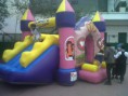 /album/festejamos-el-dia-del-ni%c3%b1o-con-inflables/img00558-20120829-1018-jpg/