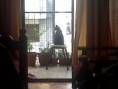 /album/festejamos-el-dia-del-ni%c3%b1o-con-inflables/img00583-20120829-1324-jpg/